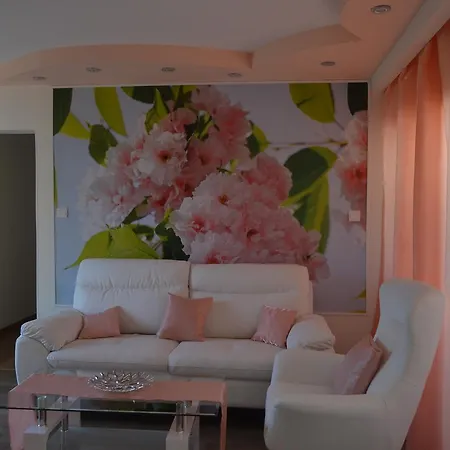 Апартаменты двуспальная возле дасуди *