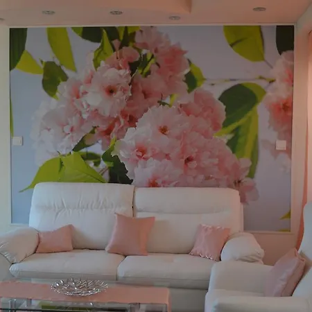 Apartment двуспальная возле дасуди *